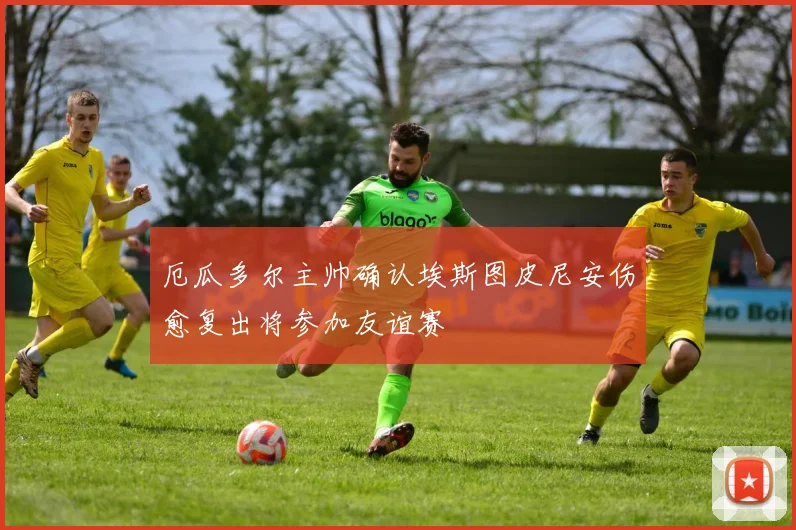 厄瓜多尔主帅确认埃斯图皮尼安伤愈复出将参加友谊赛