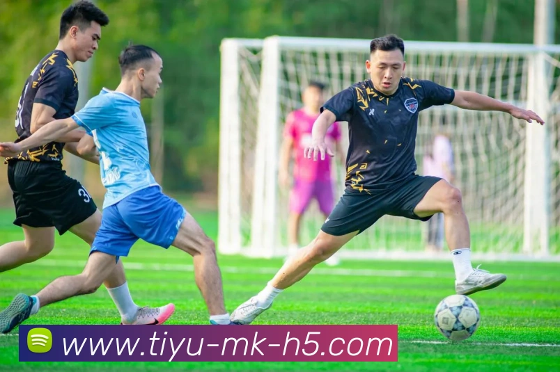 App Interface Preview