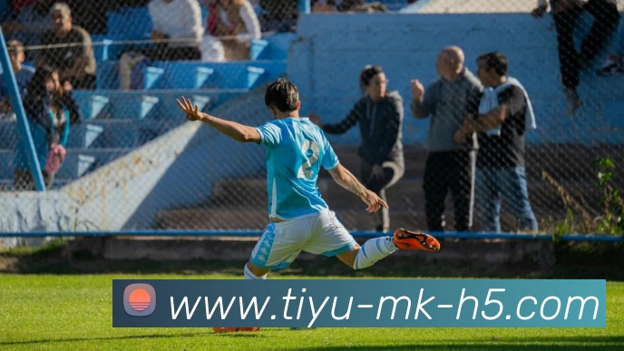 MK体育APP 封面图